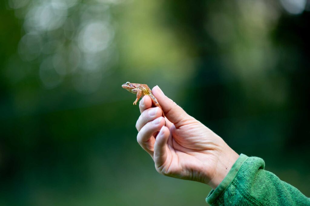 Thème Natur erliewen