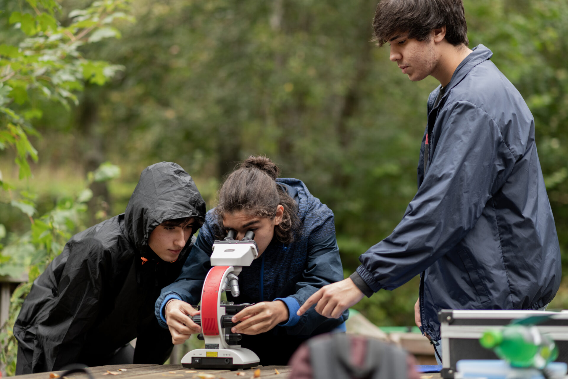 Activité Comparaison de deux écosystèmes: eau et forêt