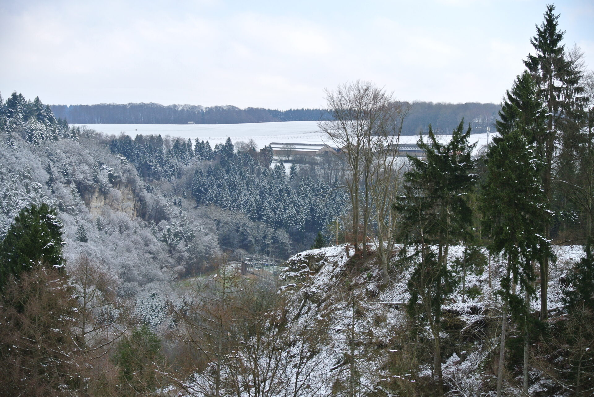 Activité L&rsquo;impact de l&rsquo;homme sur le paysage : l&rsquo;exemple du Marienthal