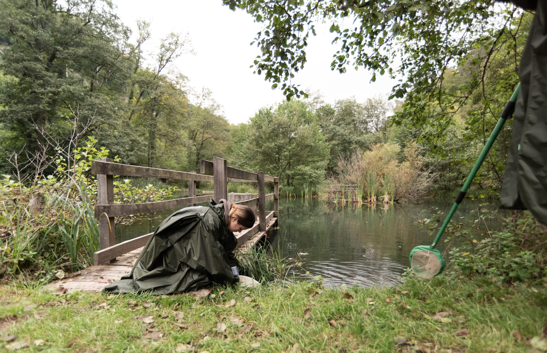 Activité L’écosystème des eaux douces