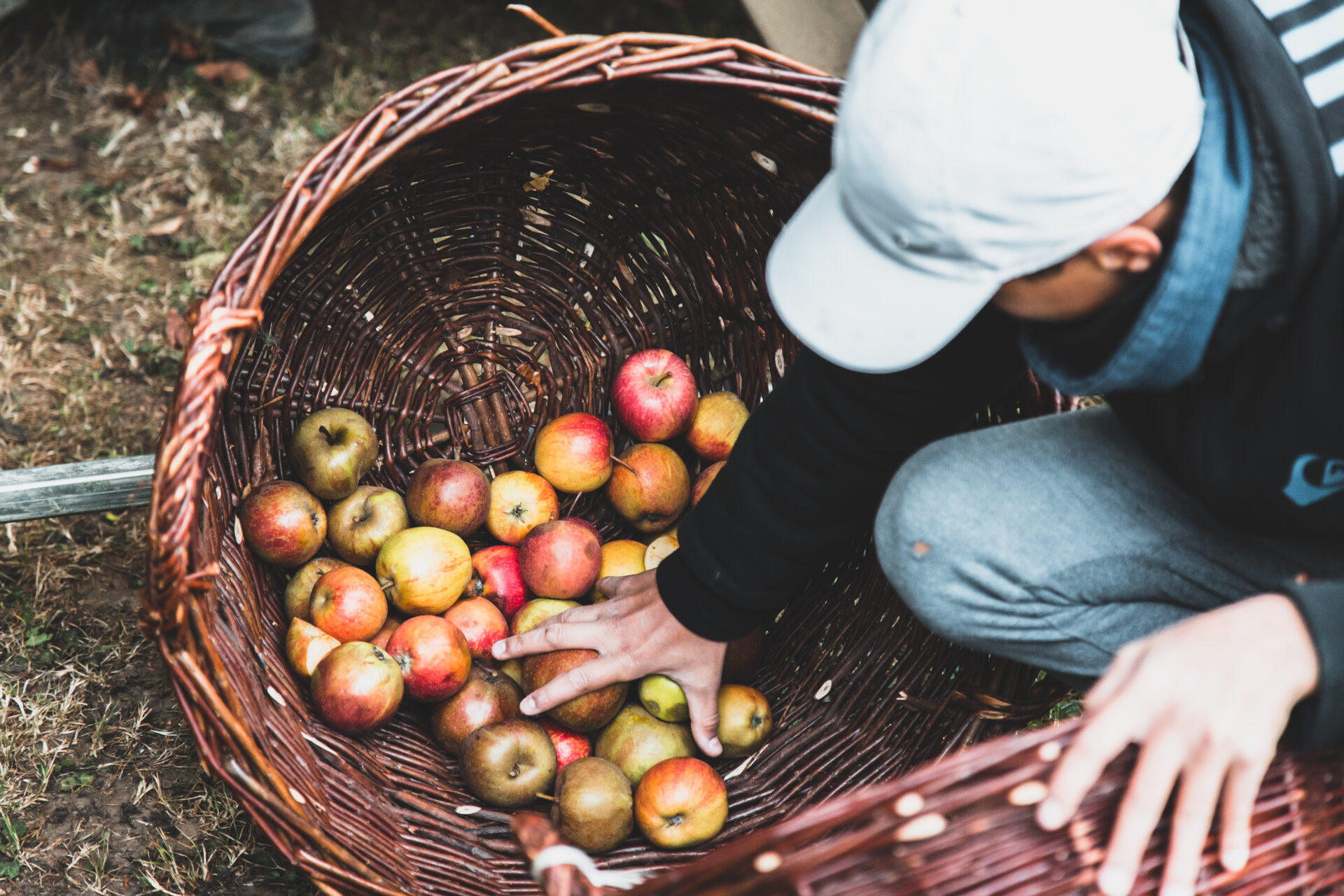 Activité Mir maache Viz! / Le jus de pommes en automne