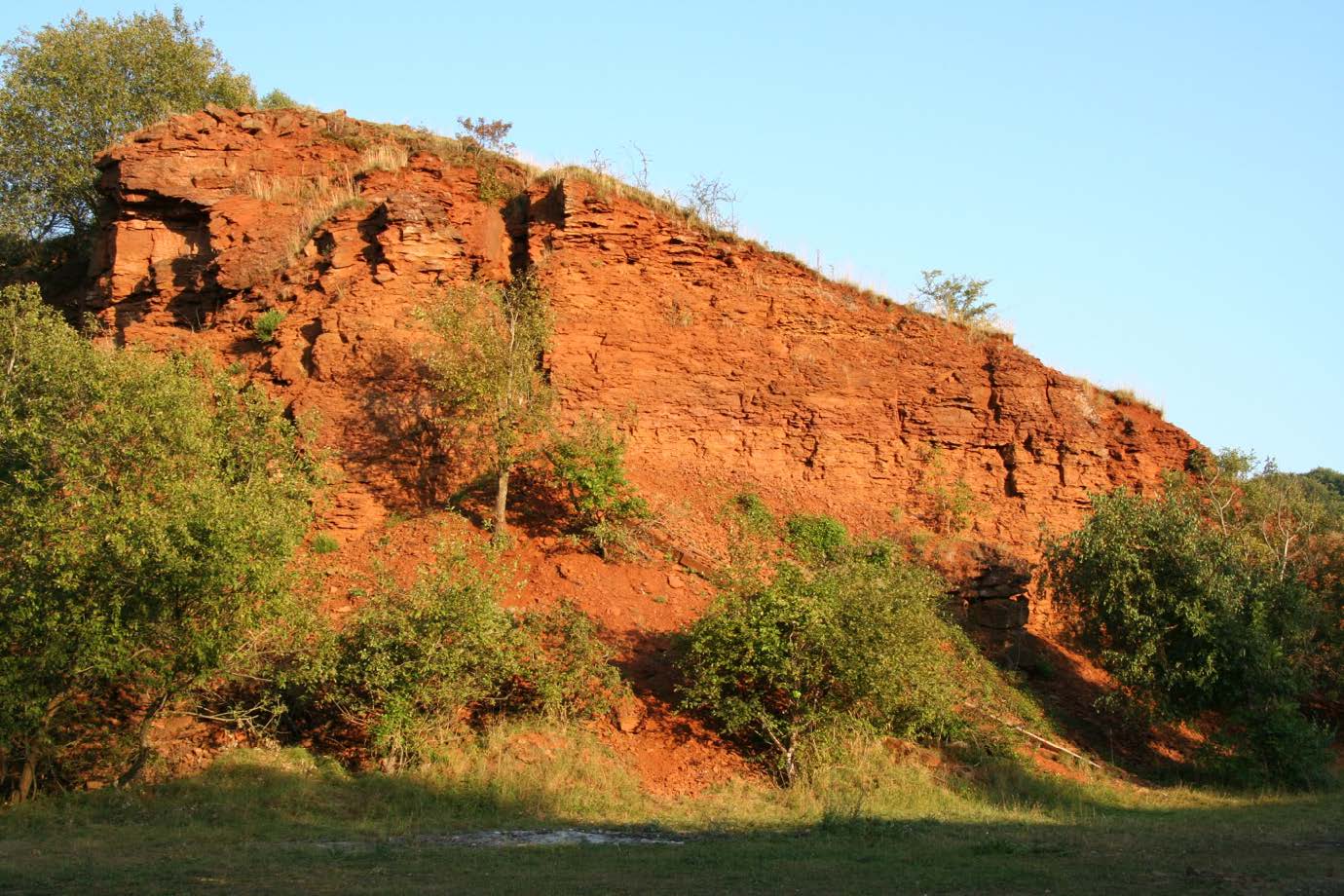 Activité La géologie et l&rsquo;écologie du Minett.