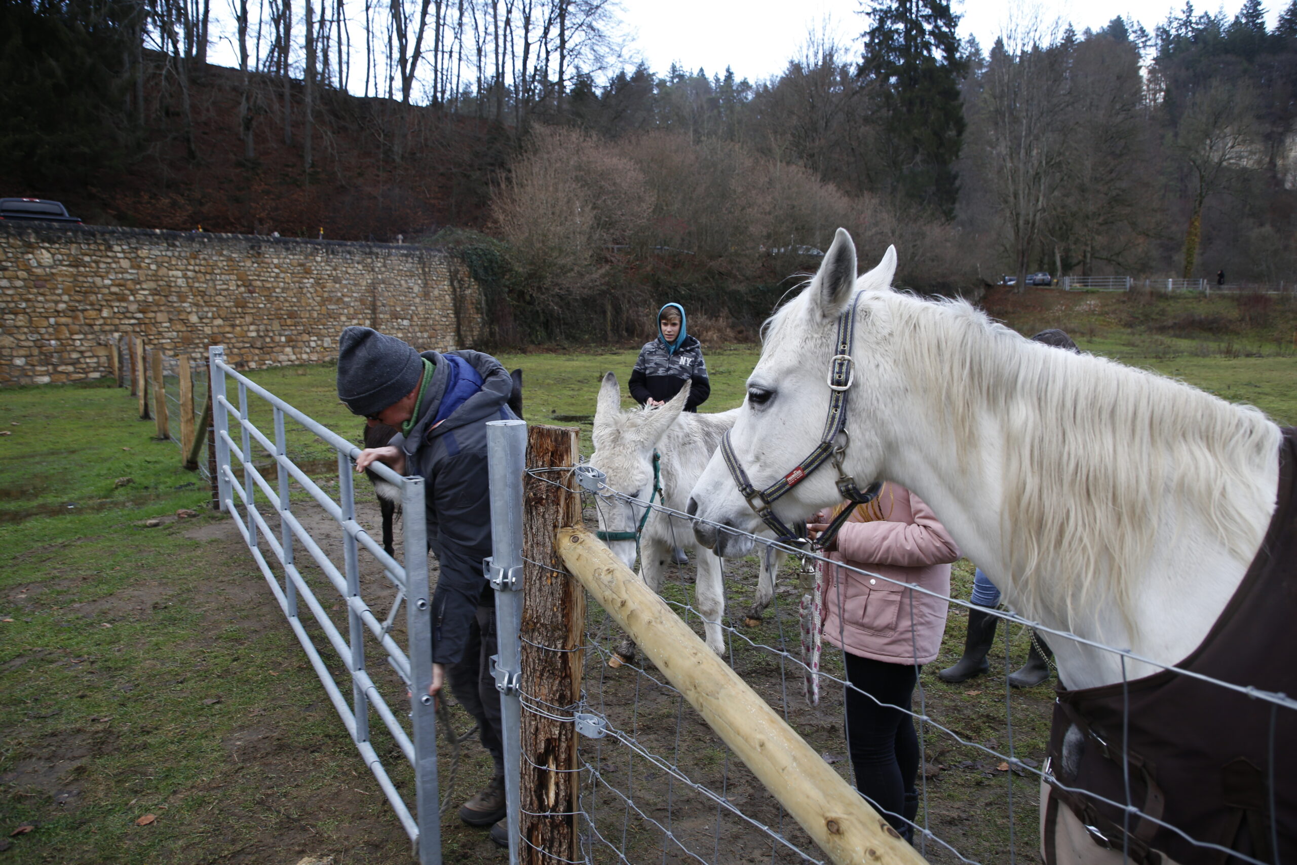 Activité La ferme au Marienthal