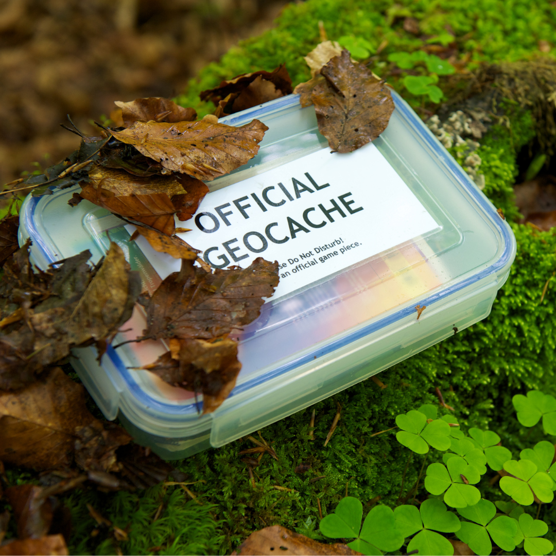 Activité Geocaching
