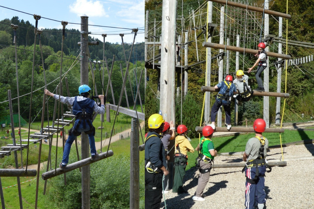 Activité Journée parc à cordes