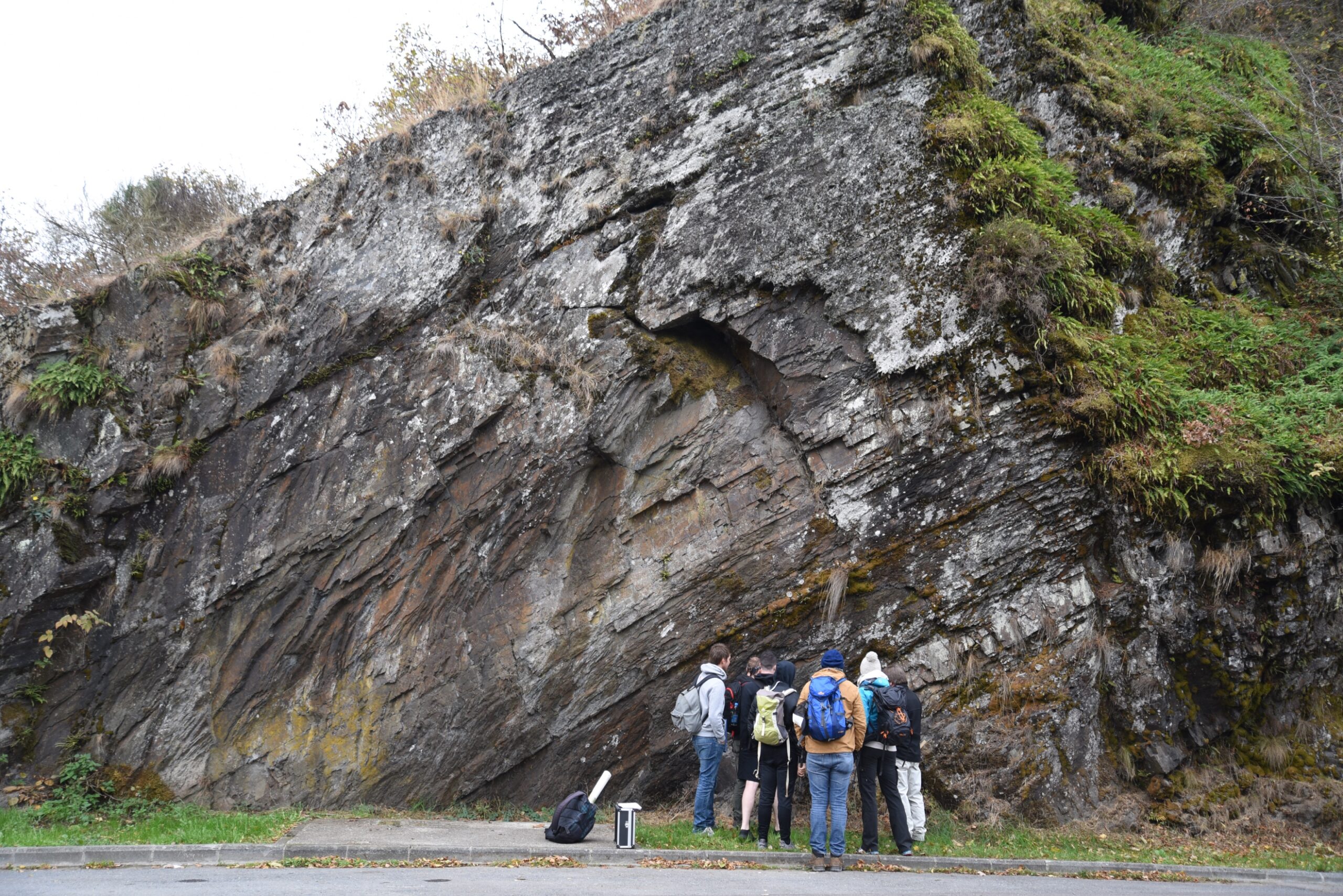 Activité La géologie et l&rsquo;écologie de l&rsquo;Oesling