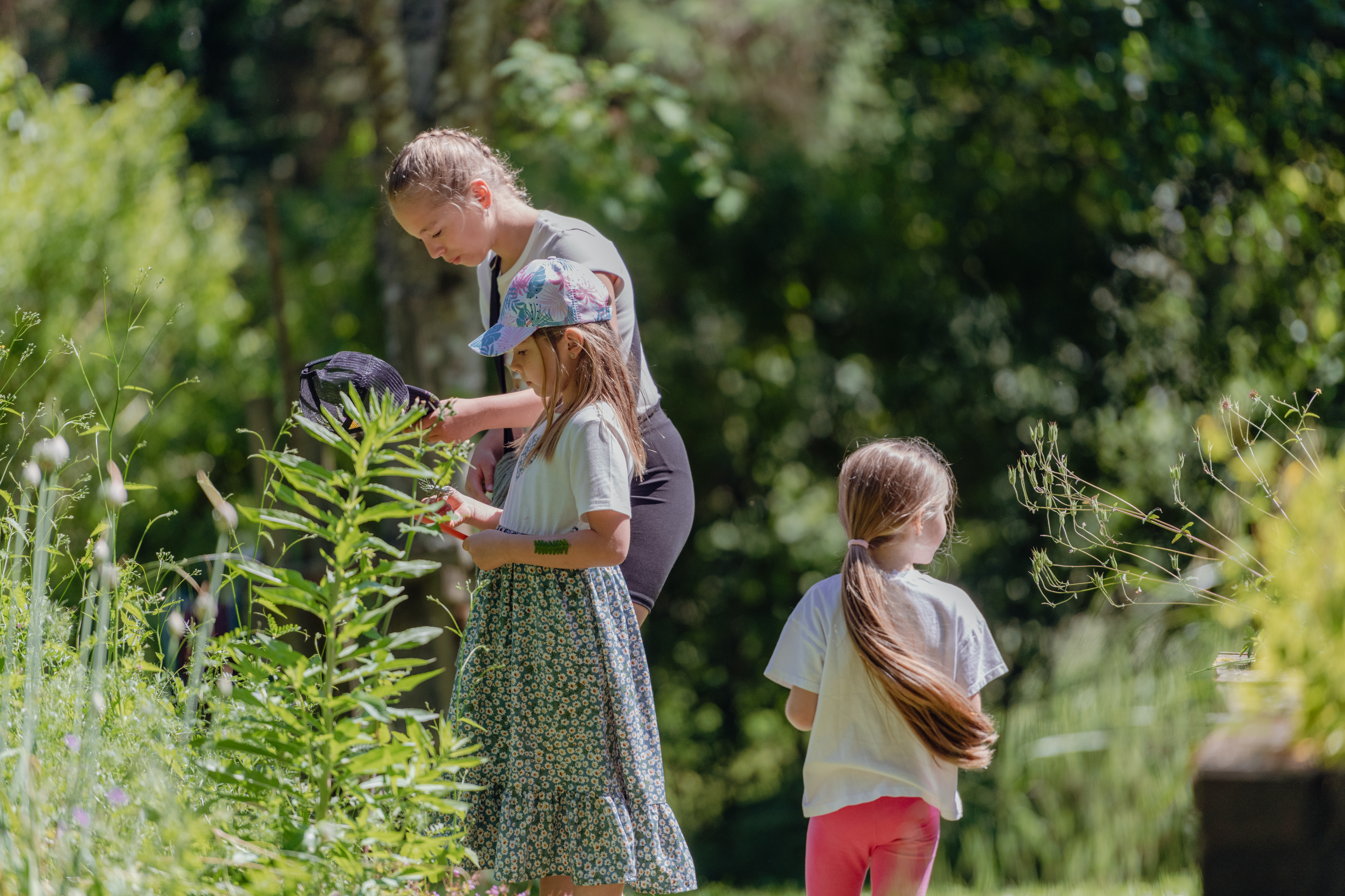 Activité La vie en forêt – 4 saisons