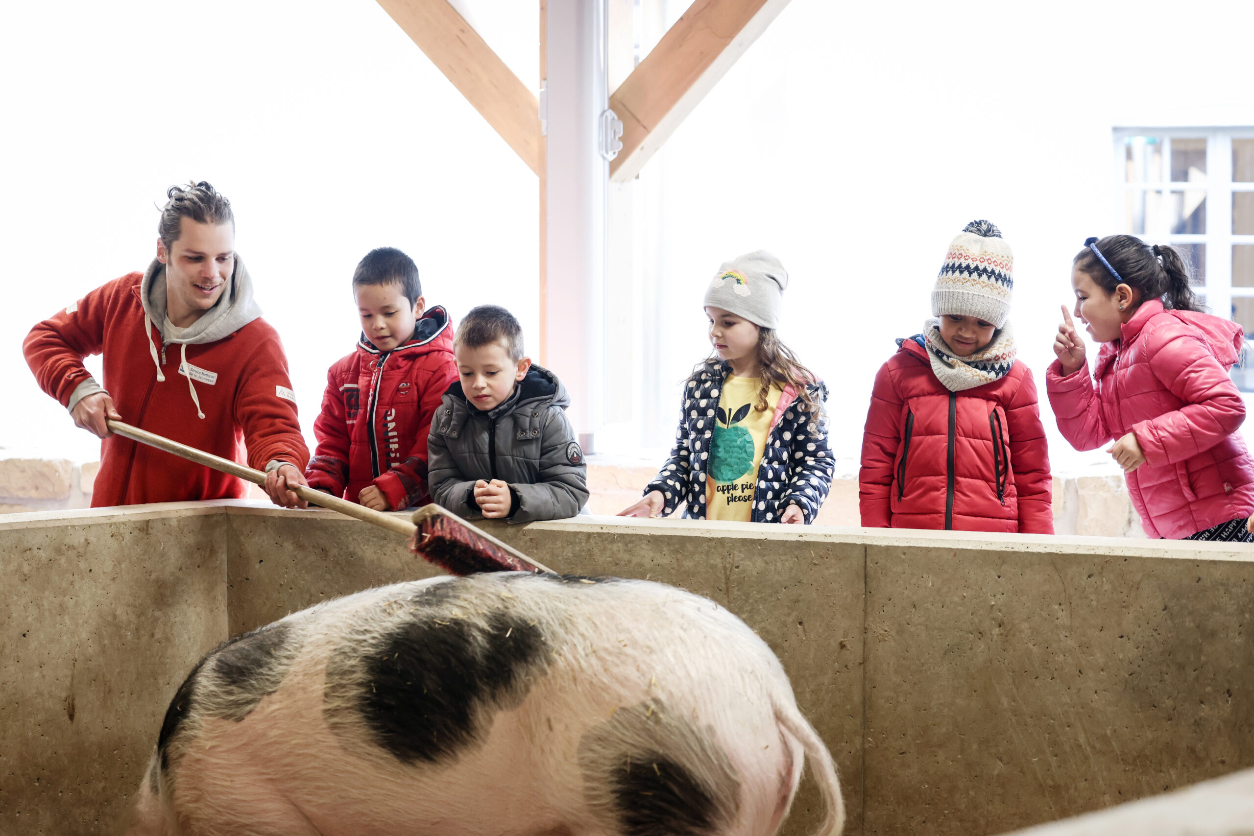 Activité La vie à la ferme